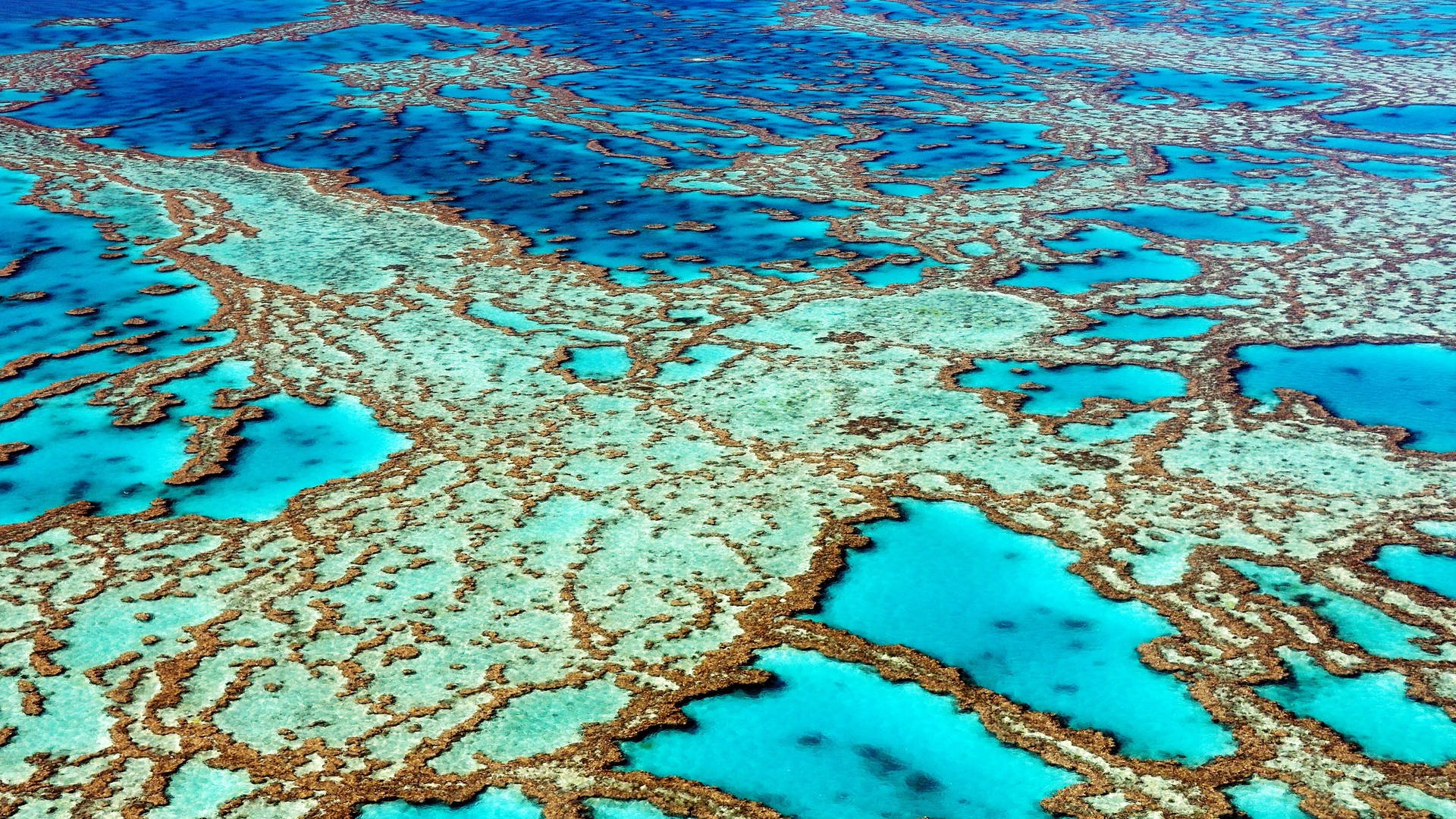 Luftaufnahme des Great Barrier Reefs, Australien (Foto: picture-alliance / Reportdienste, Bildagentur-online/McPhoto-Schul)