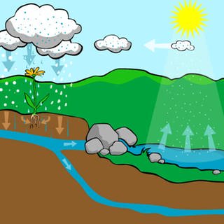 Grafik: Der Wasserkreislauf (Foto: SWR)