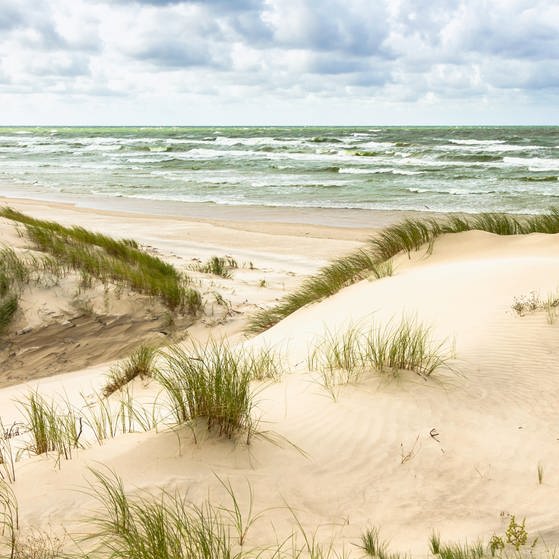 Sandstrände - Ostsee Litauens (Foto: Colourbox)