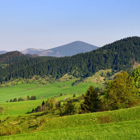 Die typische Landschaft in der Region Zips besteht aus Wiesen und bewaldeten Bergen (Foto: Colourbox)