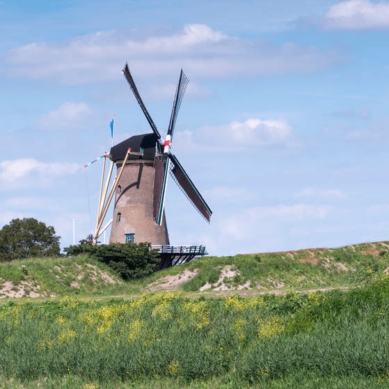 Windmühlen in den Niederlanden (Foto: Colourbox)