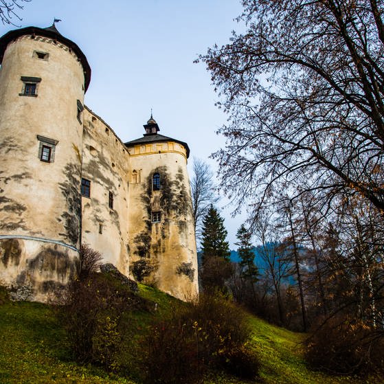 Die Burg Niedzica (Foto: Colourbox)